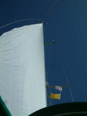 new main sail 2007